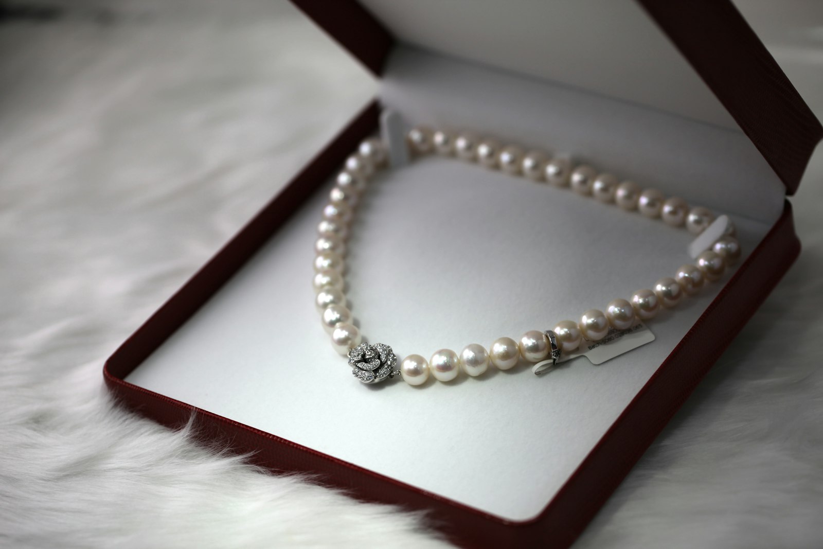 Timeless Elegance & Royal Heritage